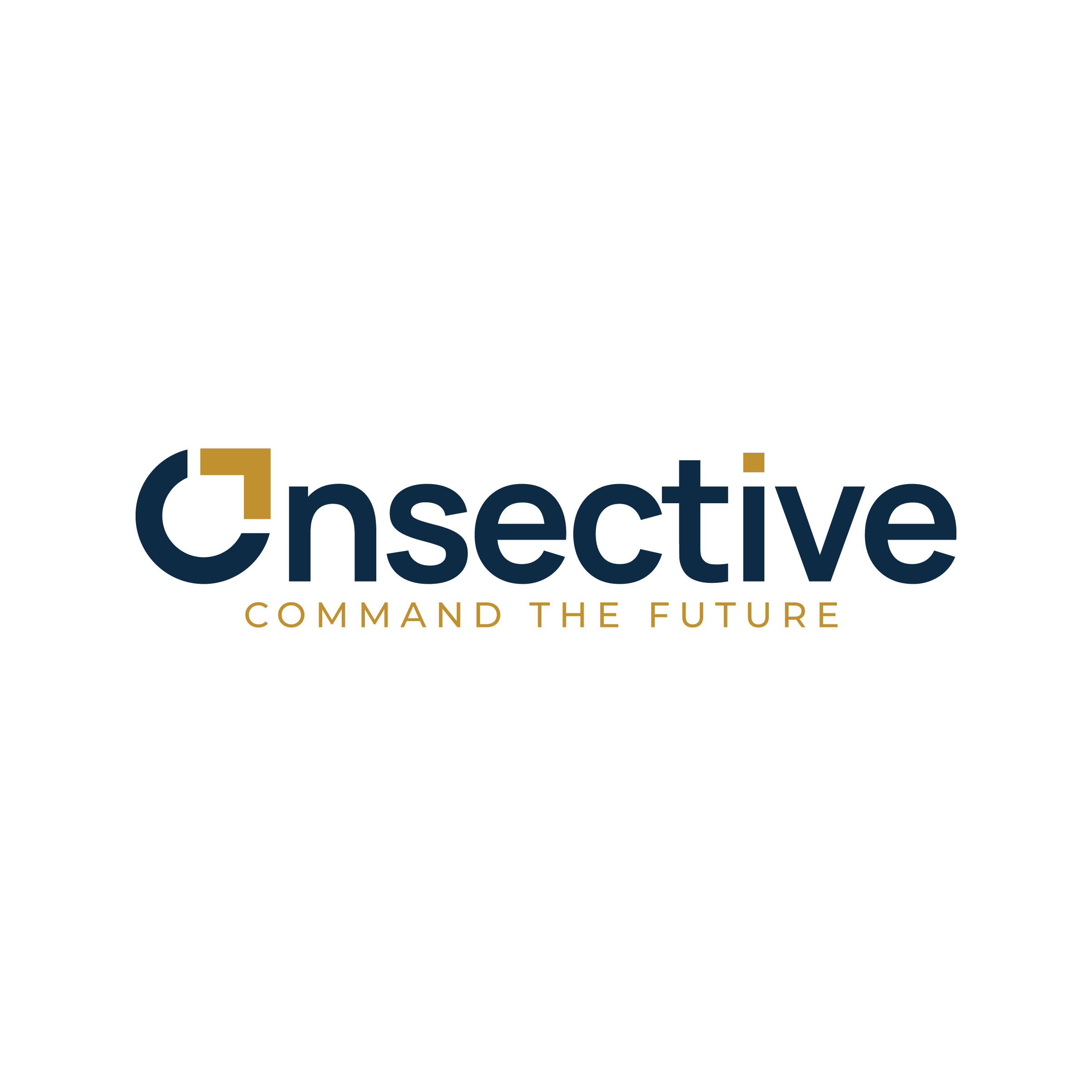 Onsective Enterprise Inc.